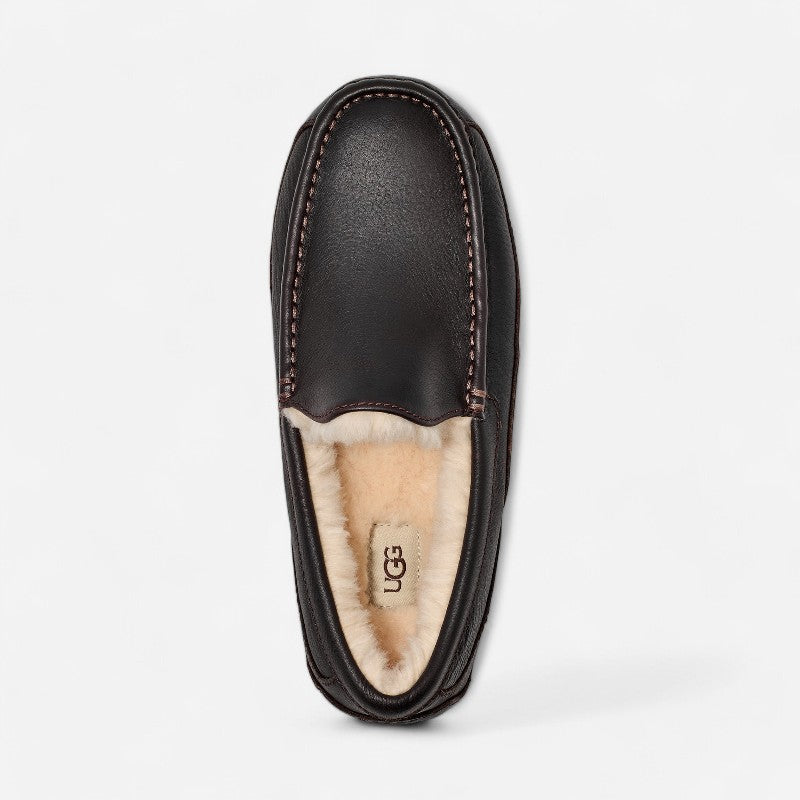 Men's Ascot Dark Spice