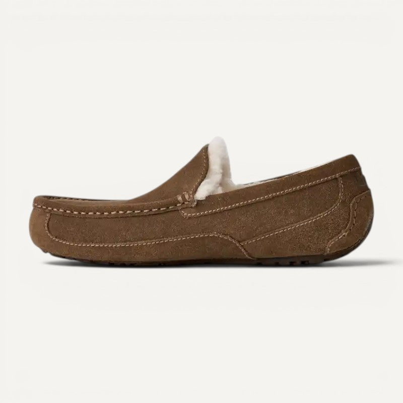 Ugg Men's Ascot Light Bronze