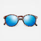 Dipsea Tortoise Aqua